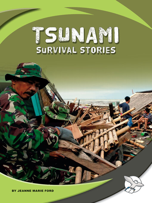 Title details for Tsunami Survival Stories by Jeanne Marie Ford - Wait list